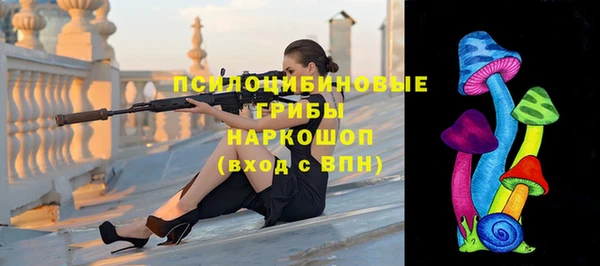 меф Вяземский