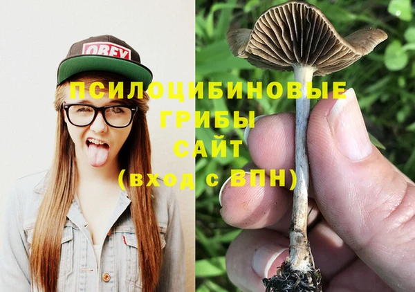 меф Вяземский