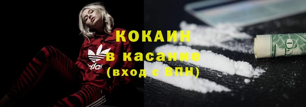 меф Вяземский