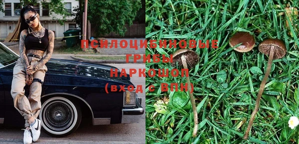 меф Вяземский