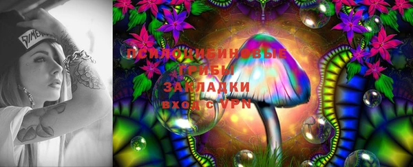 гидропоника Вязьма