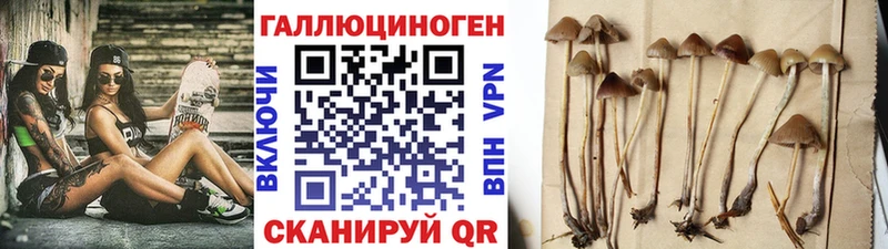 mega зеркало  Нестеровская  Псилоцибиновые грибы ЛСД 